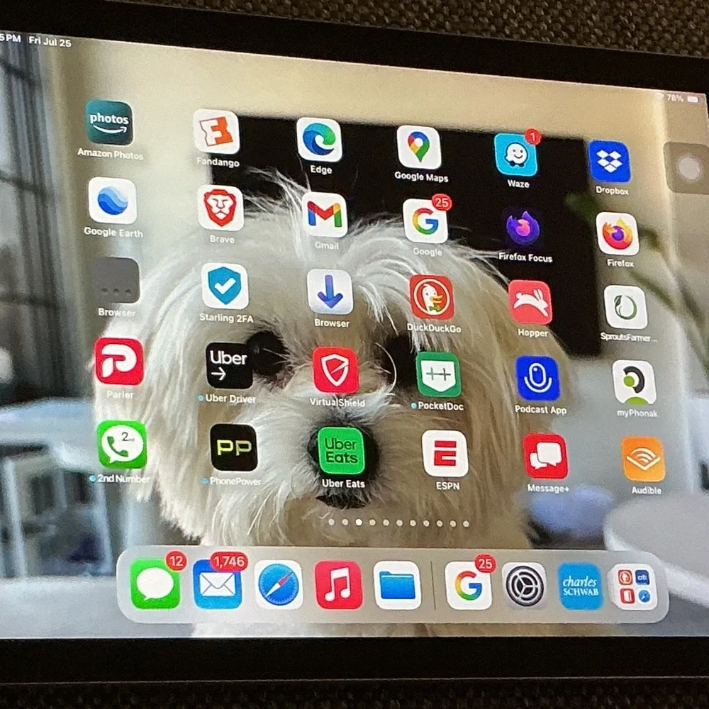APPLE IPAD 6th GENERATION TOUCH SCREEN
